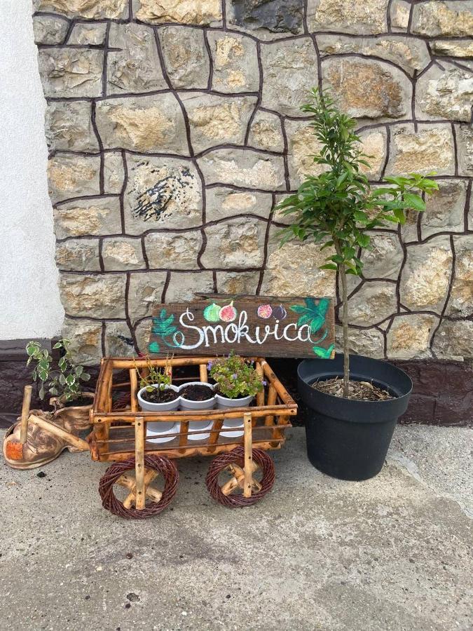 Lägenhet Smokvica *
